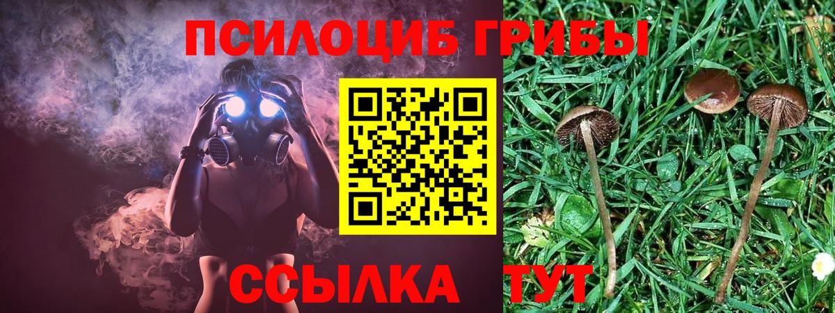 где купить наркоту  Галлюциногенные грибы ЛСД  Вход с VPN  Будённовск 